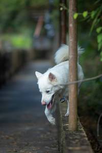 BIB: 
                            <button type="button" onclick="openModal(21805622)" class="btn btn-primary btn-sm float-right btn-popup" data-toggle="modal" data-target=".modal-high-quality">
                        <i class="fas fa-shopping-cart"></i> Add to Cart
                    </button>
                                            <button type="button" onclick="isThisMe(21805622, true)" class="btn btn-success btn-sm float-right btn-popup btn-isme hidden" data-toggle="tooltip" data-placement="bottom" title="นี่คือรูปของคุณใช่ไหม คลิกที่นี่เพื่อเอาเข้าอัลบั้ม">
                        <i class="fas fa-plus"></i> Add to album
                    </button>
                    <button type="button" onclick="isThisMe(21805622, false)" class="btn btn-warning btn-sm float-right btn-popup btn-isnotme hidden">
                        <i class="fas fa-ban"></i> Remove from album
                    </button>